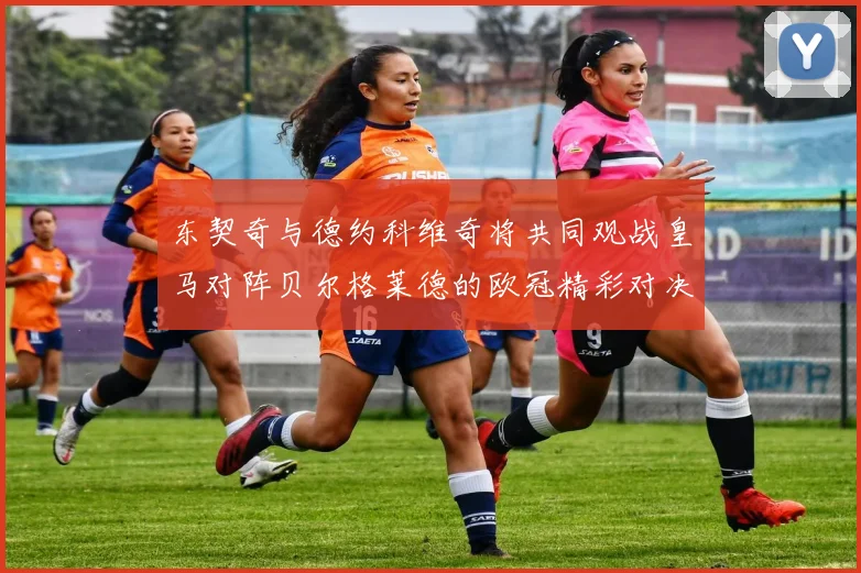 东契奇与德约科维奇将共同观战皇马对阵贝尔格莱德的欧冠精彩对决