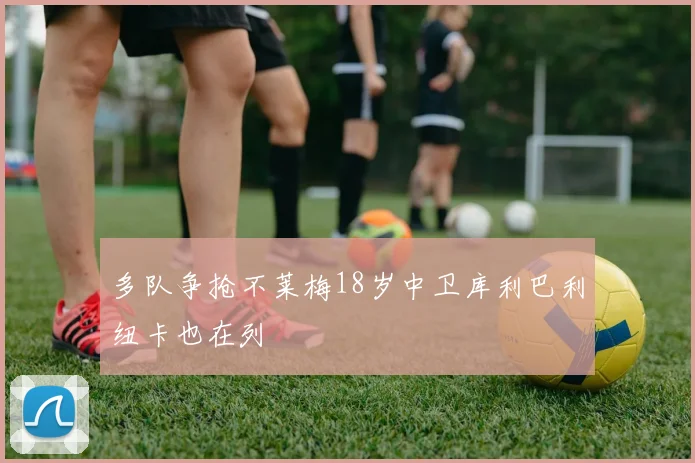 多队争抢不莱梅18岁中卫库利巴利纽卡也在列